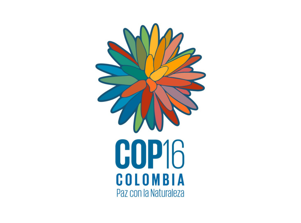 COP16 Colombia logo: a colourful flower symbol