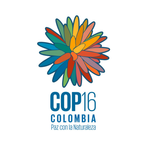 COP16 Colombia logo: a colourful flower symbol