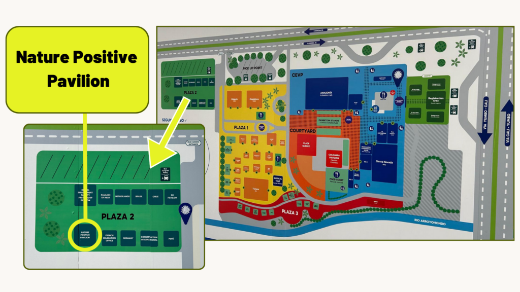 Map showing the location of the Nature Positive Pavilion at COP16 in Cali, Colombia.