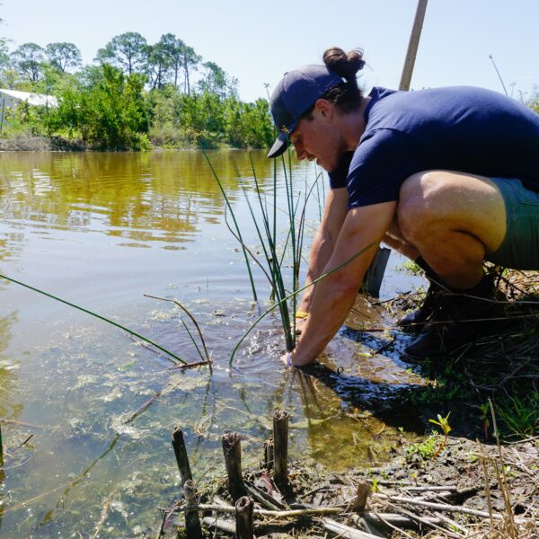 The Tampa Bay Estuary program