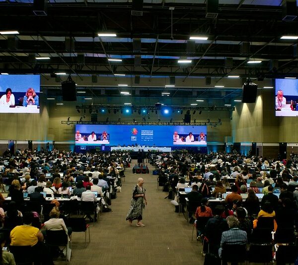 Closing Plenary - COP16