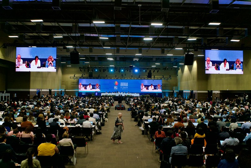 Closing Plenary - COP16