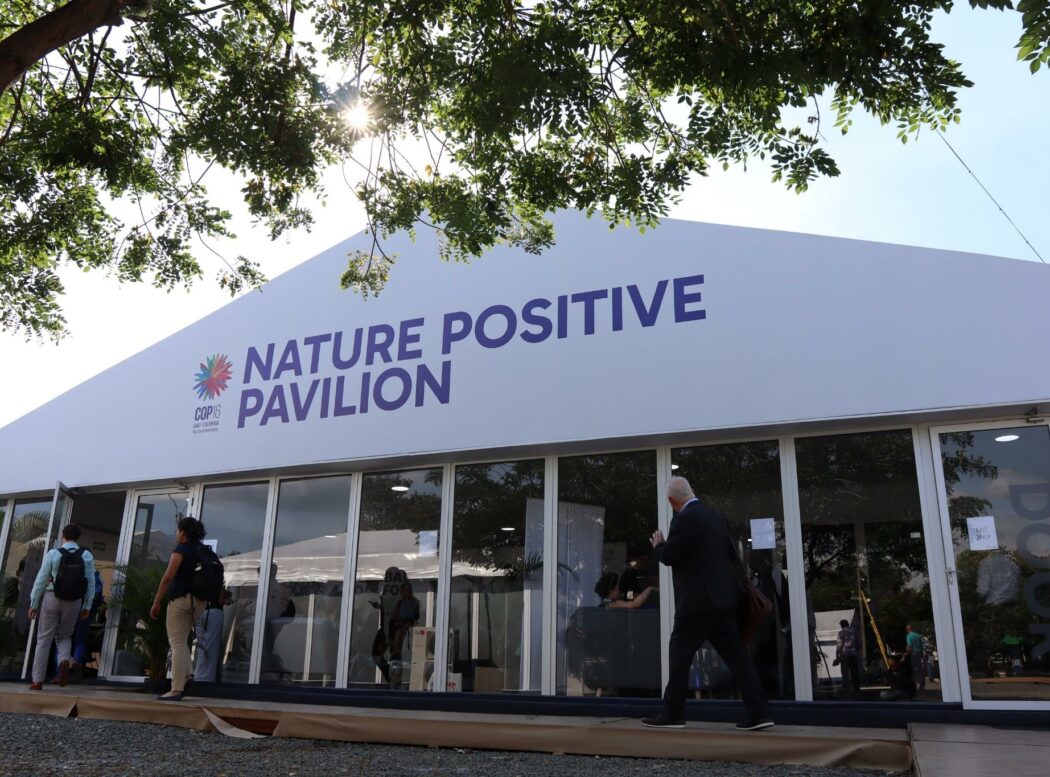 Nature Positive Pavilion at COP16