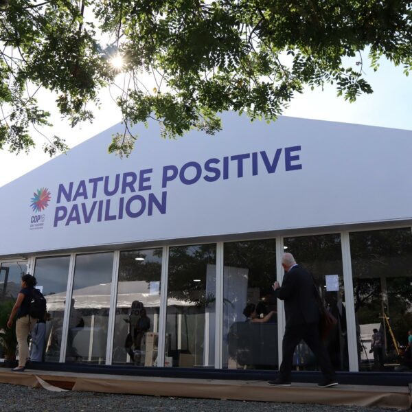 Nature Positive Pavilion at COP16