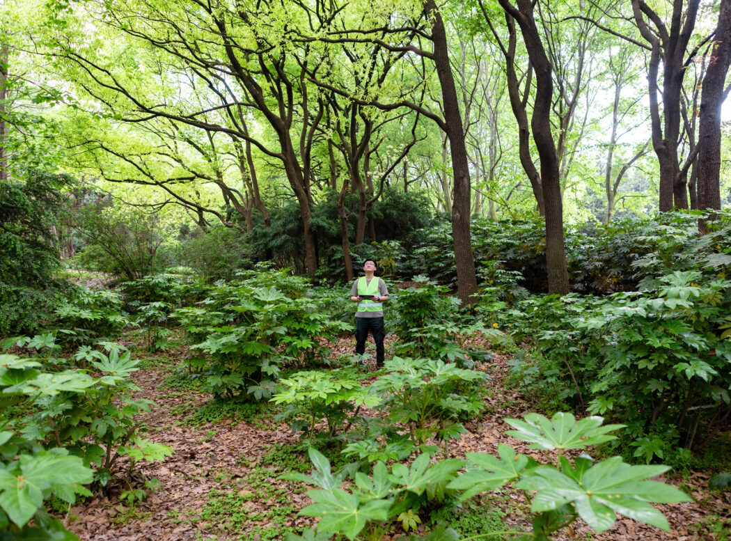 Researchers with data gathering equipment in the forest