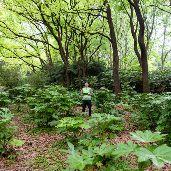 Researchers with data gathering equipment in the forest